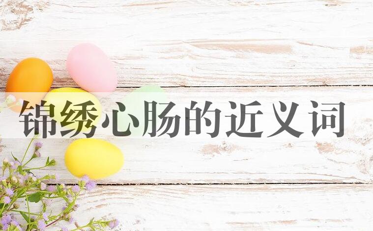 用锦绣心肠造句