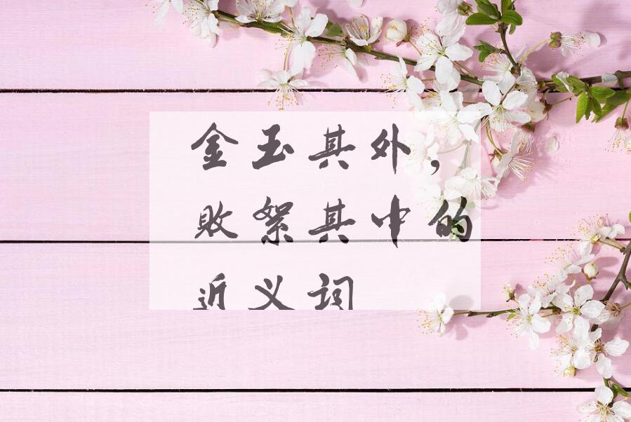 用金玉其外，败絮其中造句