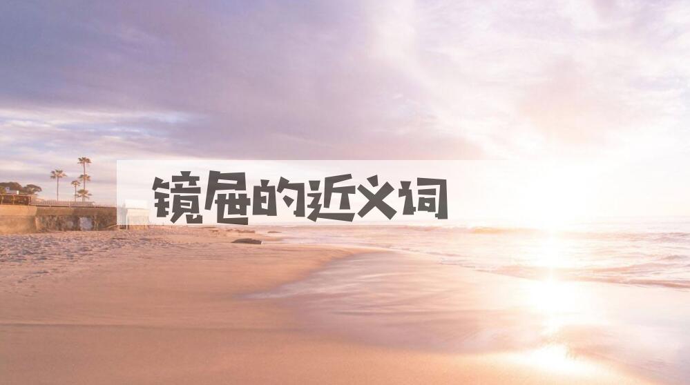 用镜屉造句