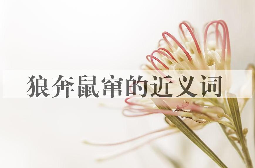 用狼奔鼠窜造句