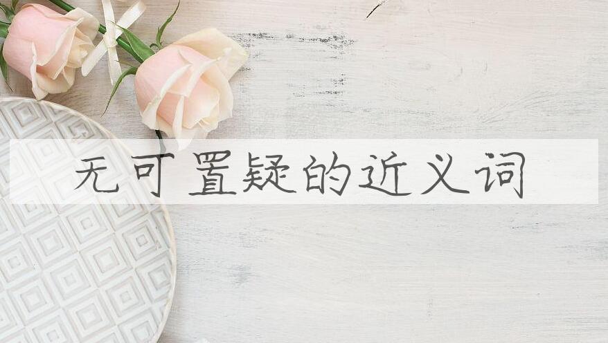 用无可置疑造句