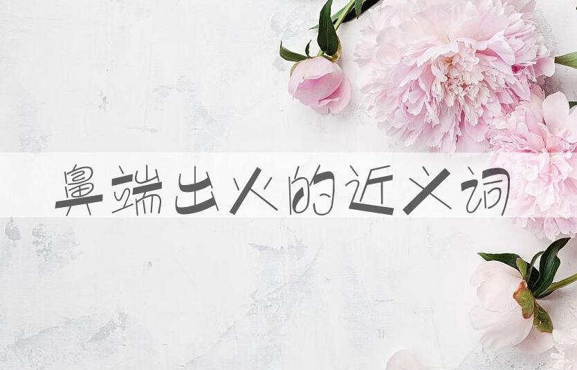 用鼻端出火造句