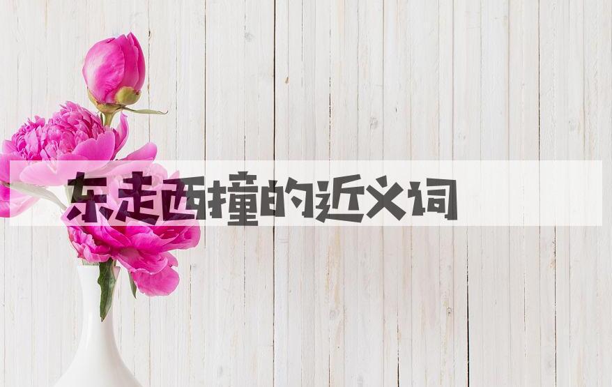 用东走西撞造句