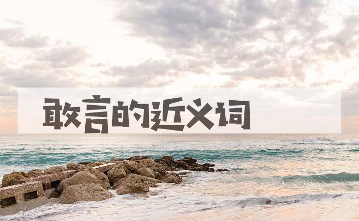 用敢言造句