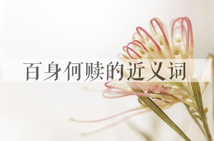 用百身何赎造句