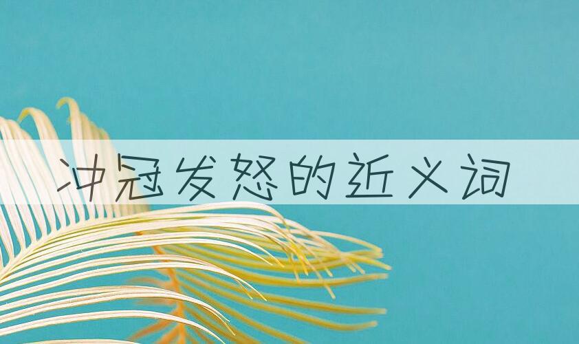 用冲冠发怒造句