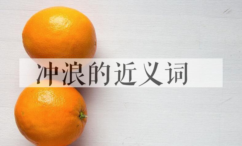 用冲浪造句
