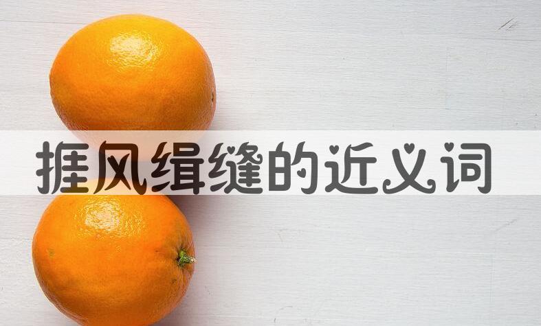 用捱风缉缝造句