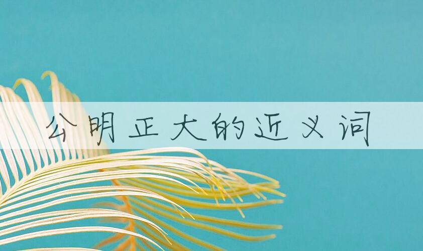 用公明正大造句