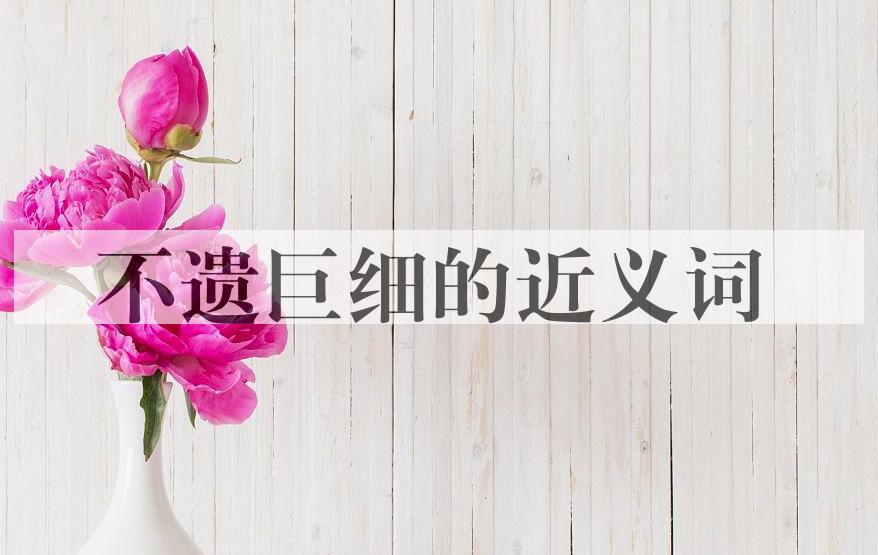 用不遗巨细造句