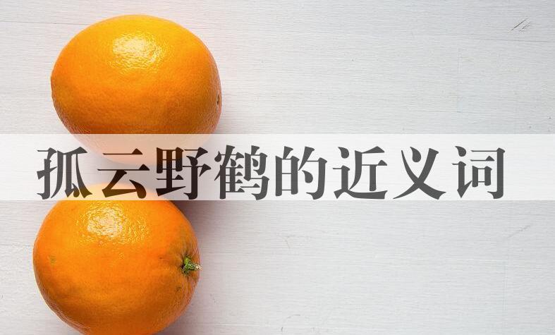 用孤云野鹤造句