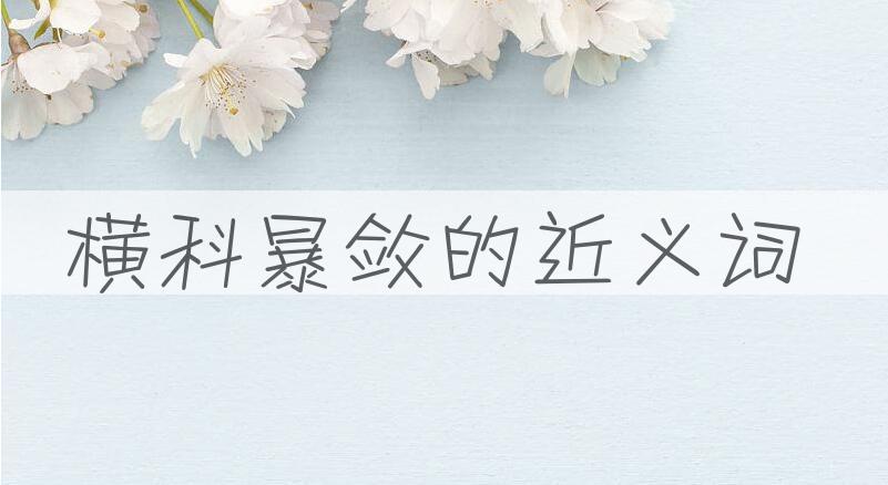 用横科暴敛造句