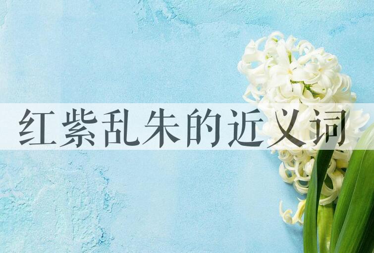 用红紫乱朱造句