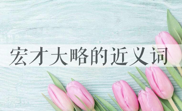 用宏才大略造句