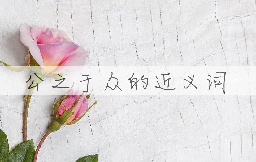 用公之于众造句