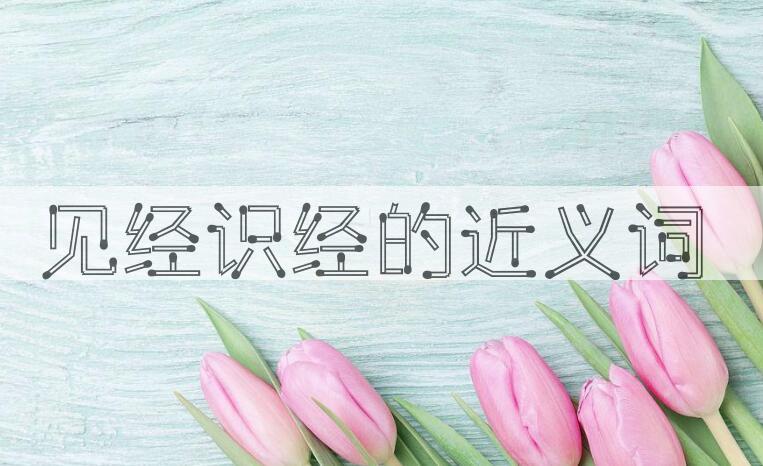 用见经识经造句