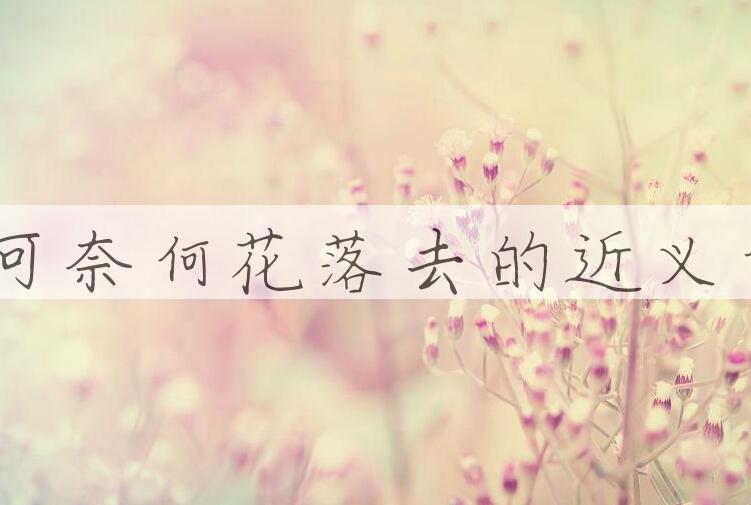用无可奈何花落去造句