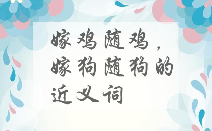 用嫁鸡随鸡，嫁狗随狗造句