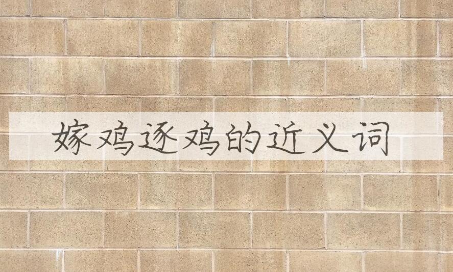 用嫁鸡逐鸡造句