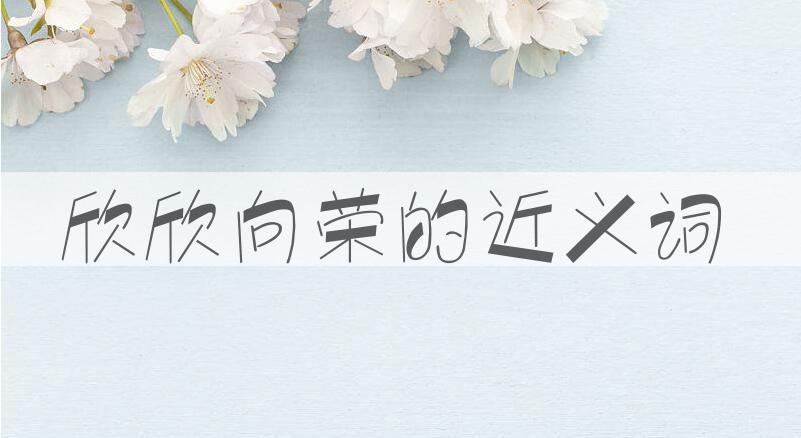 用欣欣向荣造句