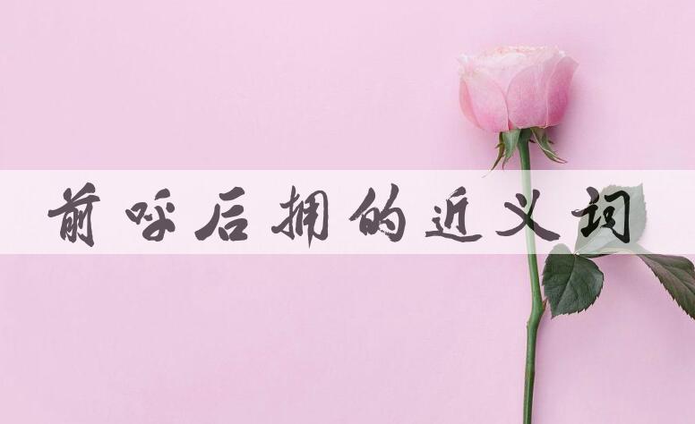 用前呼后拥造句