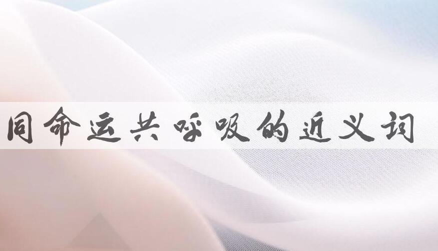 用同命运共呼吸造句