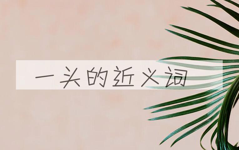 用一头造句