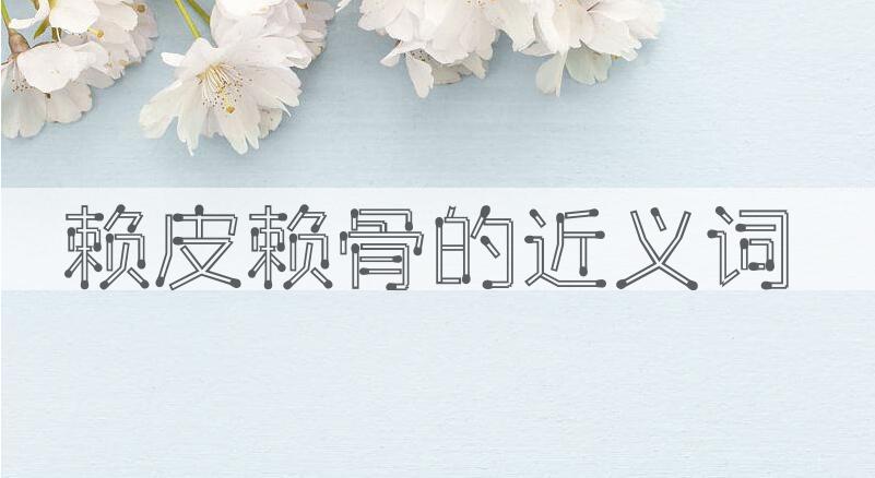 用赖皮赖骨造句