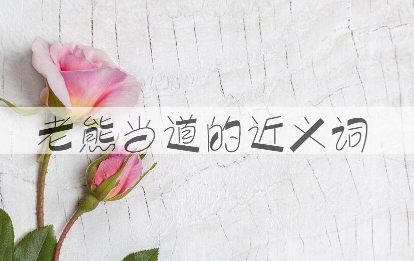 用老熊当道造句