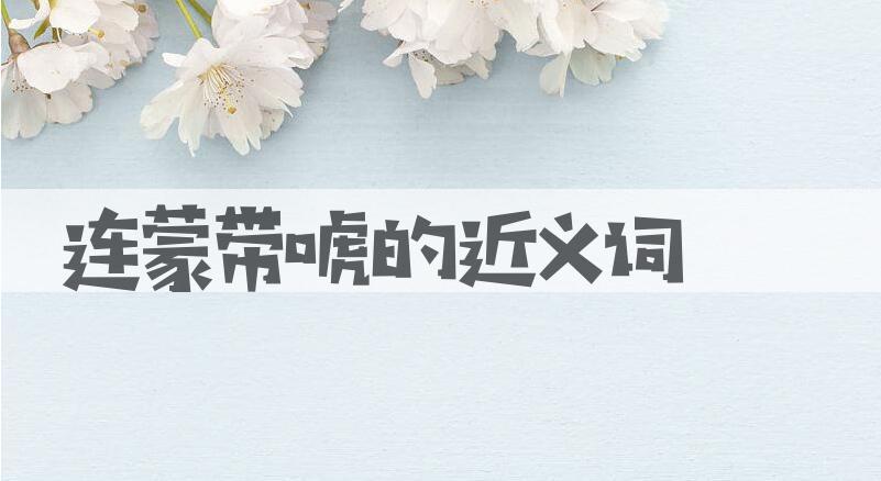 用连蒙带唬造句