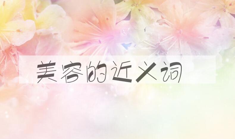 用美容造句