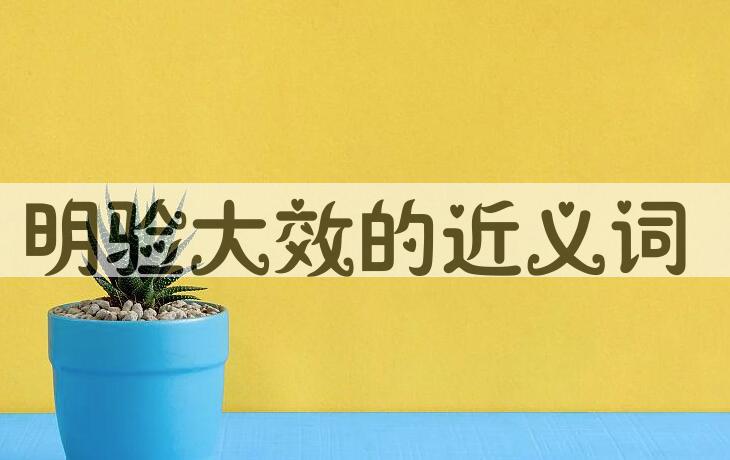 用明验大效造句