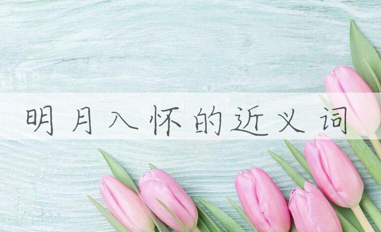 用明月入怀造句