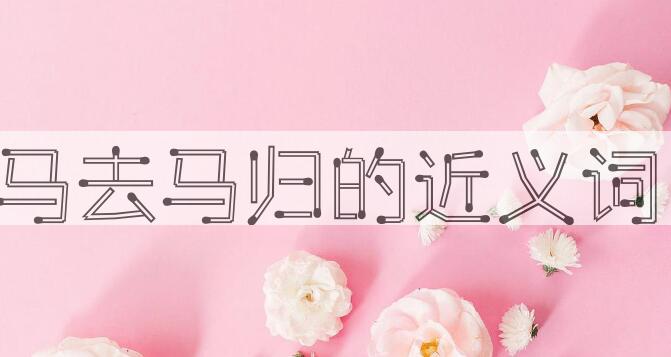 用马去马归造句