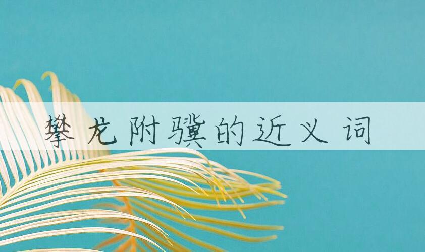 用攀龙附骥造句