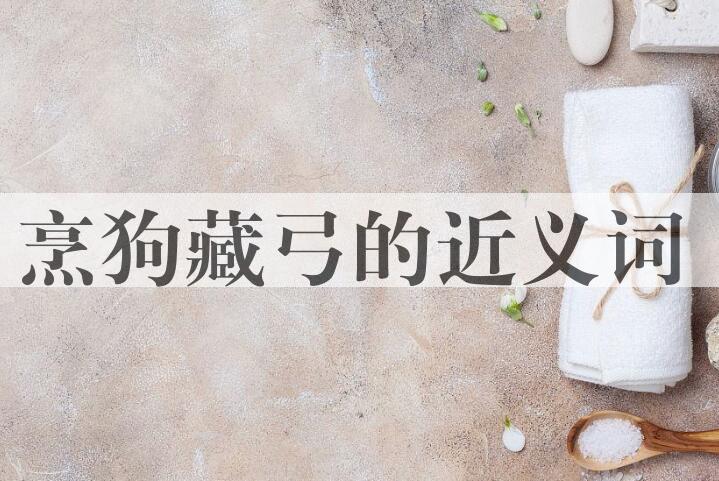 用烹狗藏弓造句