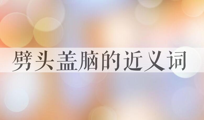 用劈头盖脑造句