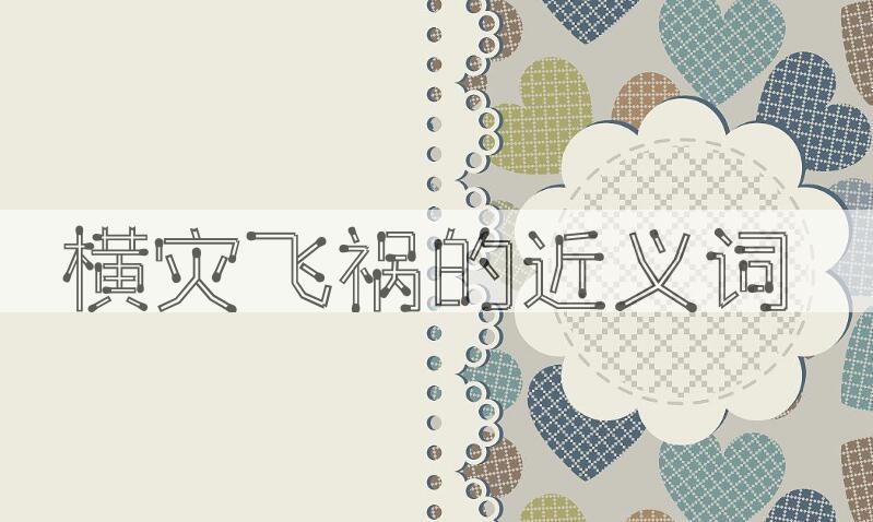 用横灾飞祸造句