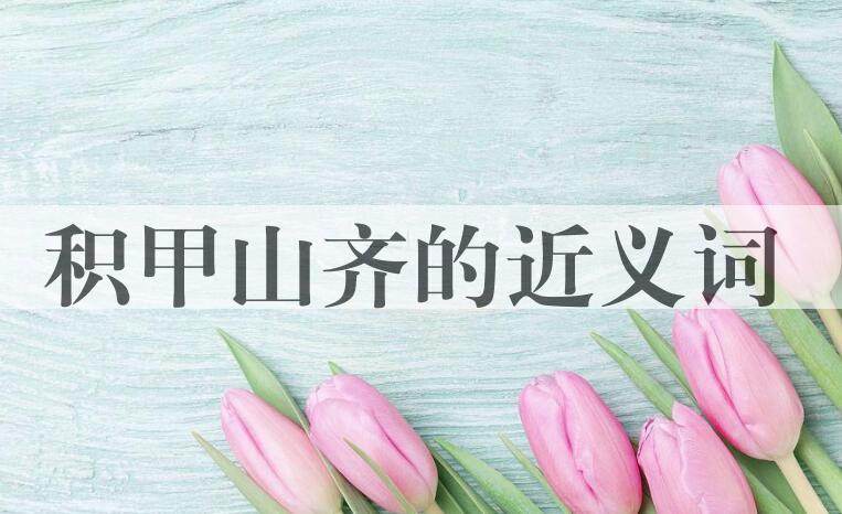 用积甲山齐造句