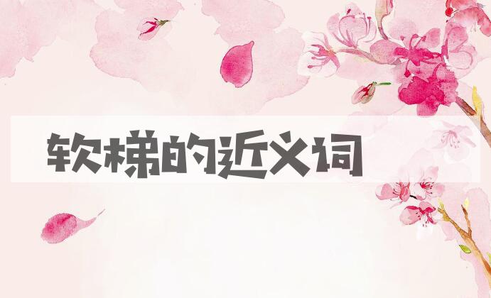 用软梯造句