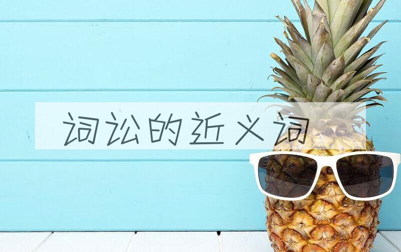 用词讼造句