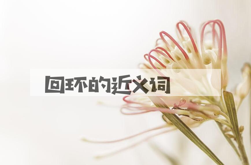 用回环造句