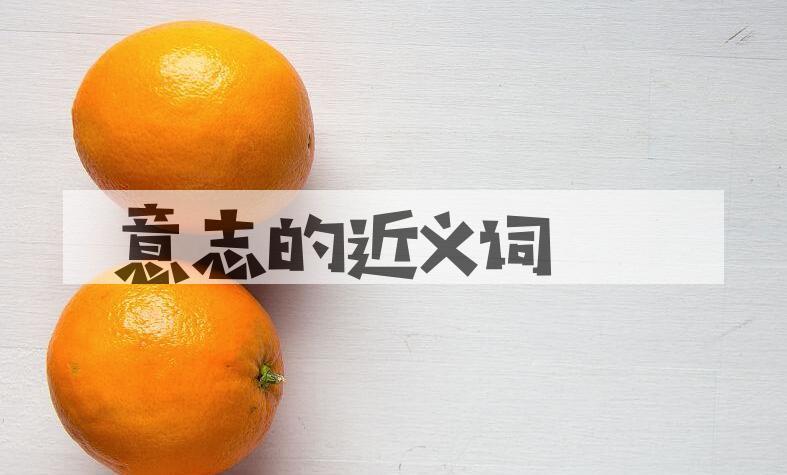 用意志造句