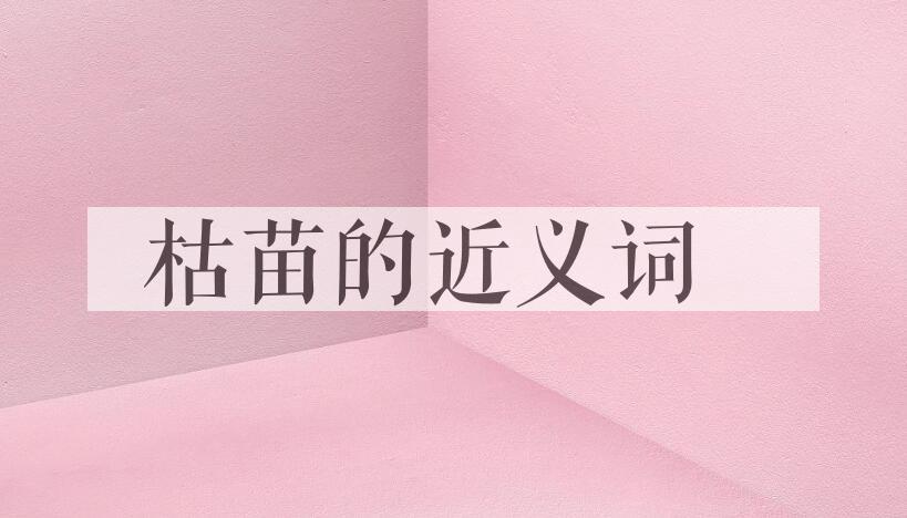用枯苗造句