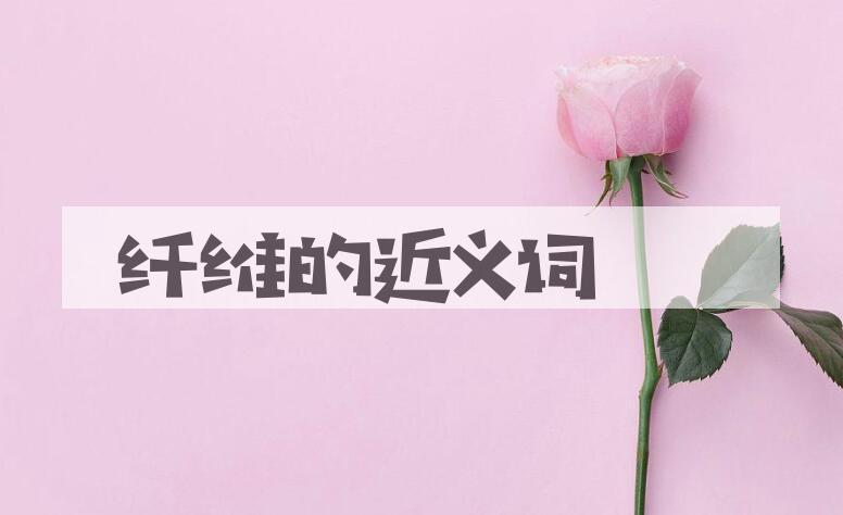 用纤维造句