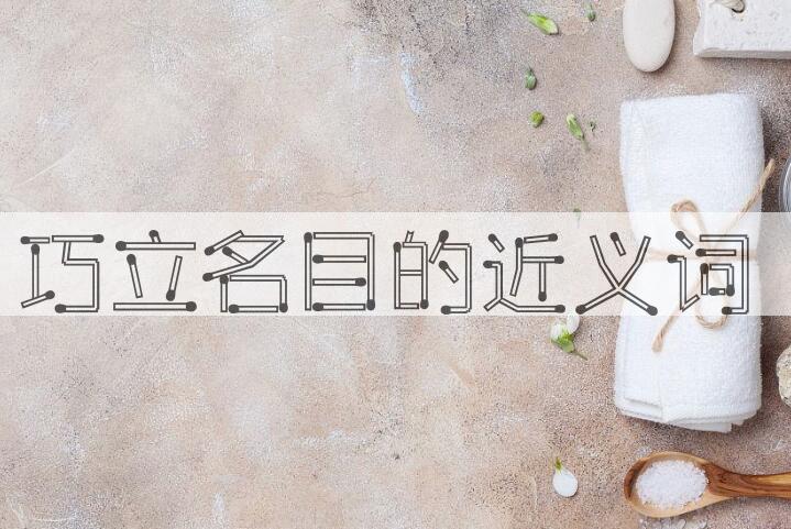 用巧立名目造句