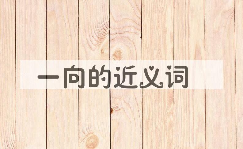 用一向造句