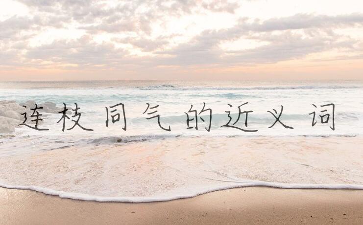 用连枝同气造句
