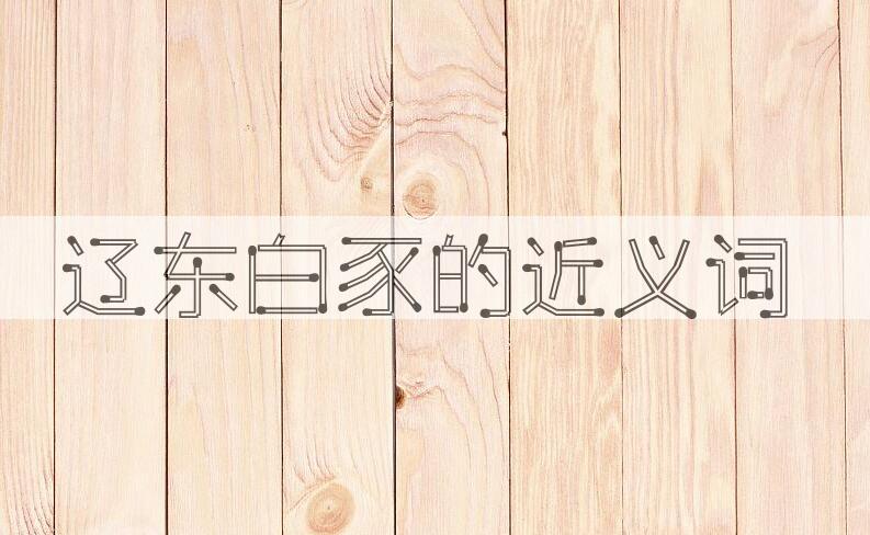 用辽东白豕造句