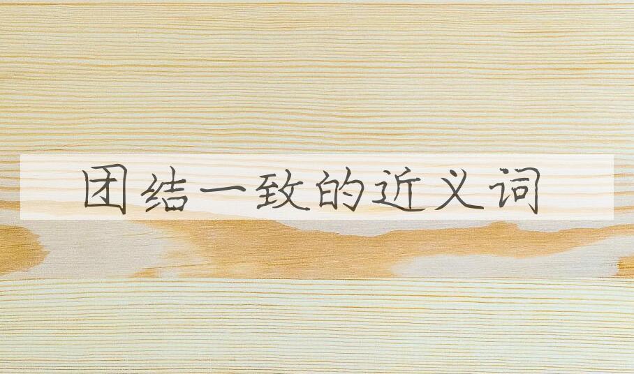用团结一致造句